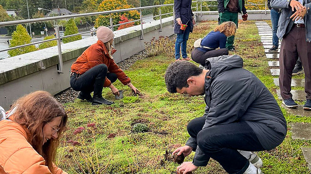 Das Dach des W-Gebäudes wird bepflanzt.