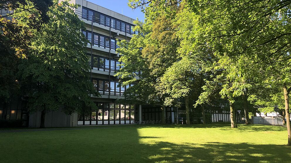 Bäume im Sommer auf dem Campus der Universität Paderborn.