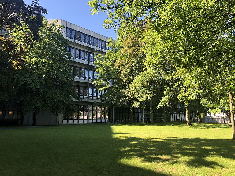 Trees in summer on the campus of Paderborn University.